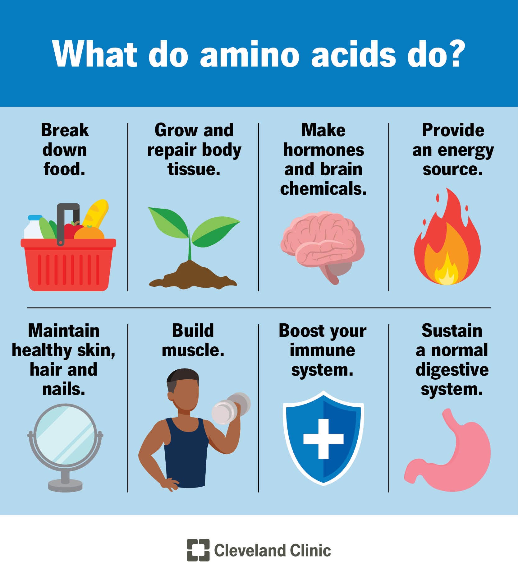 PROTIEN & AMINO ACIDS