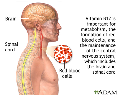 vitamin B12