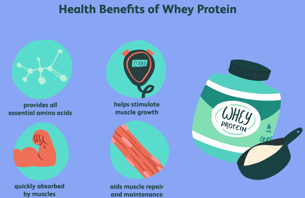 why whey protein over normal protein?