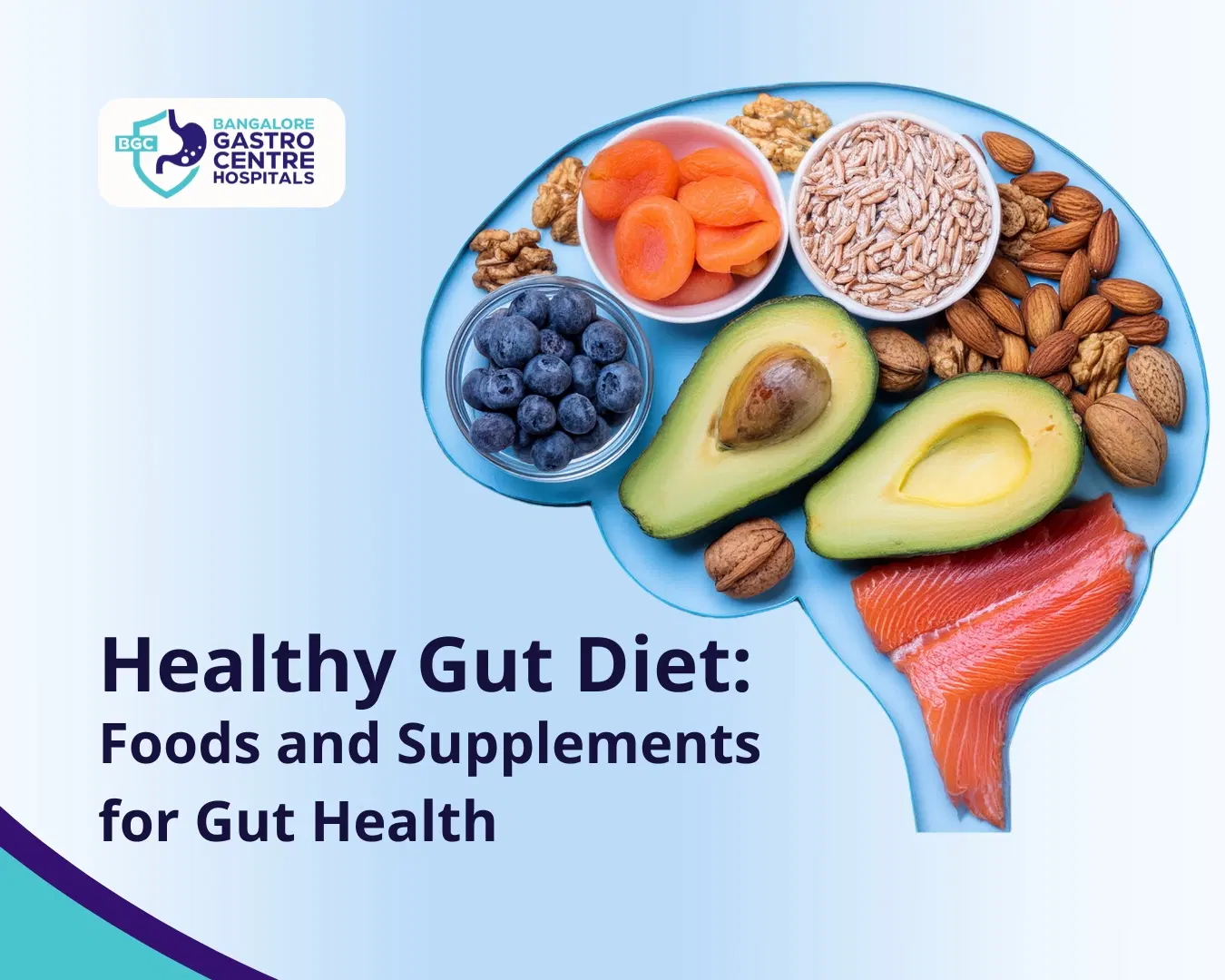 GUT HEALTH SUPPLEMENTS