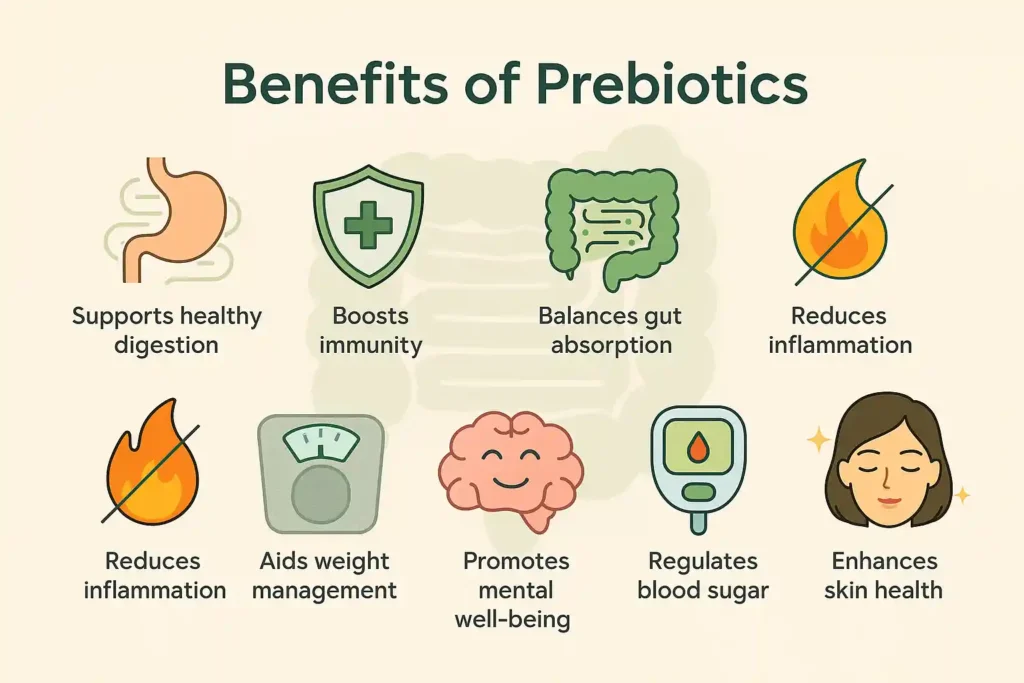 Key benefits of prebiotic supplements